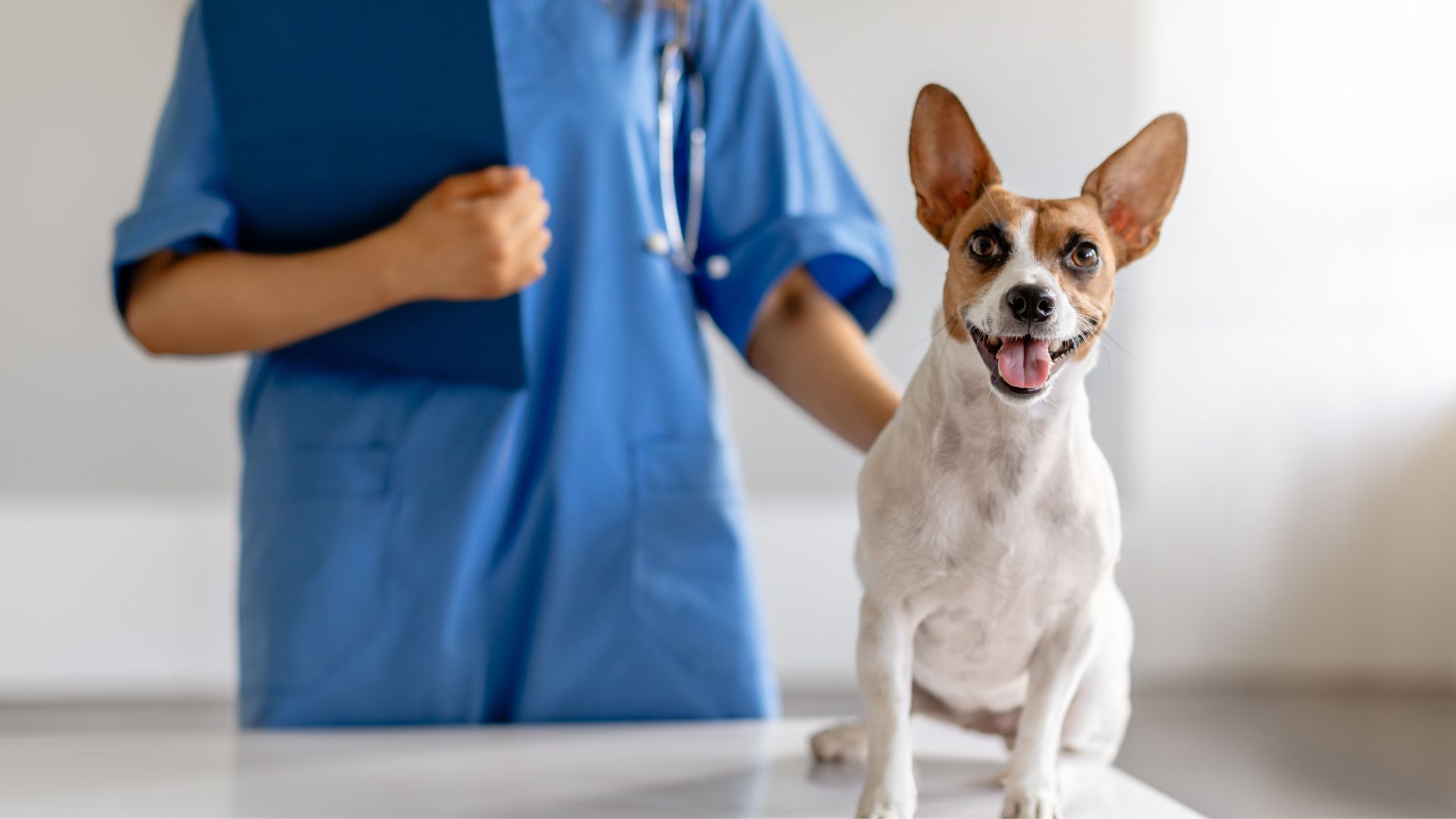 A woman in a blue uniform stands beside a dog