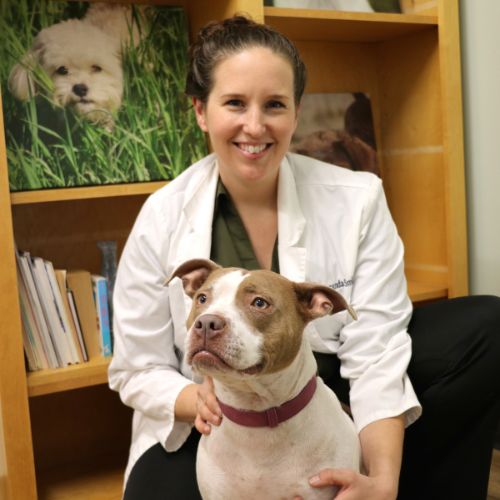 Dr. Amanda Smith